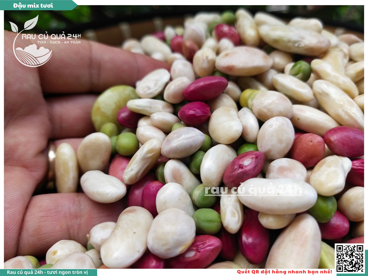 Đậu Mix Tươi 8