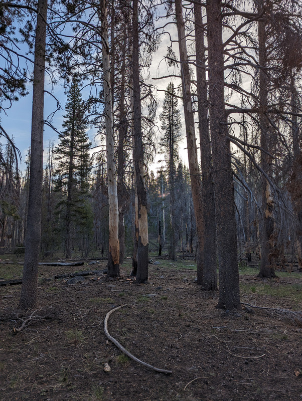 PXL_20250614_133048857