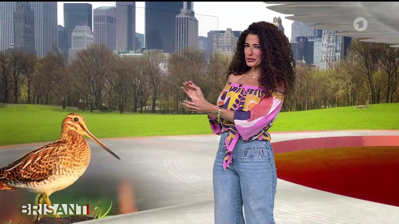 Marwa Eldessouky ARD BRISANT 17 04 2026 82X Caps 34