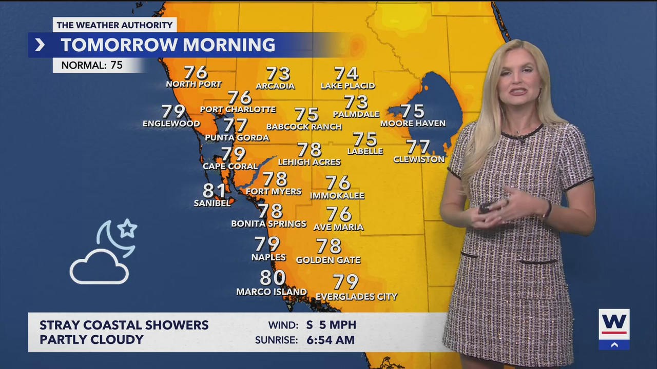 WINK News at 11_20250803_04000500.ts_snapshot_00.15.58.717