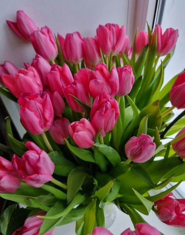 679701533-2842043749469741-4379846228678250864-n