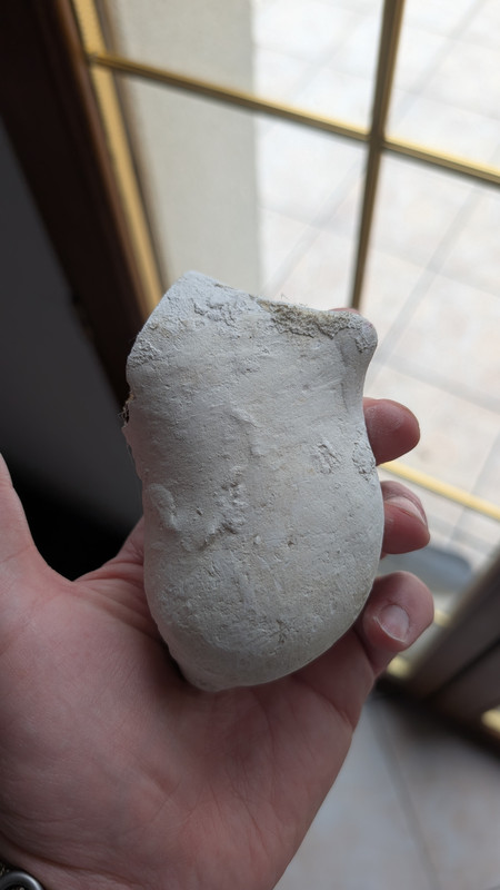 PXL 20251204 104524295