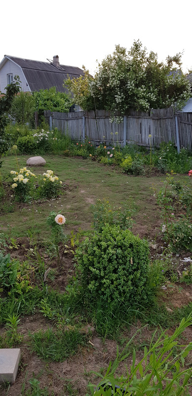 20190614_205550