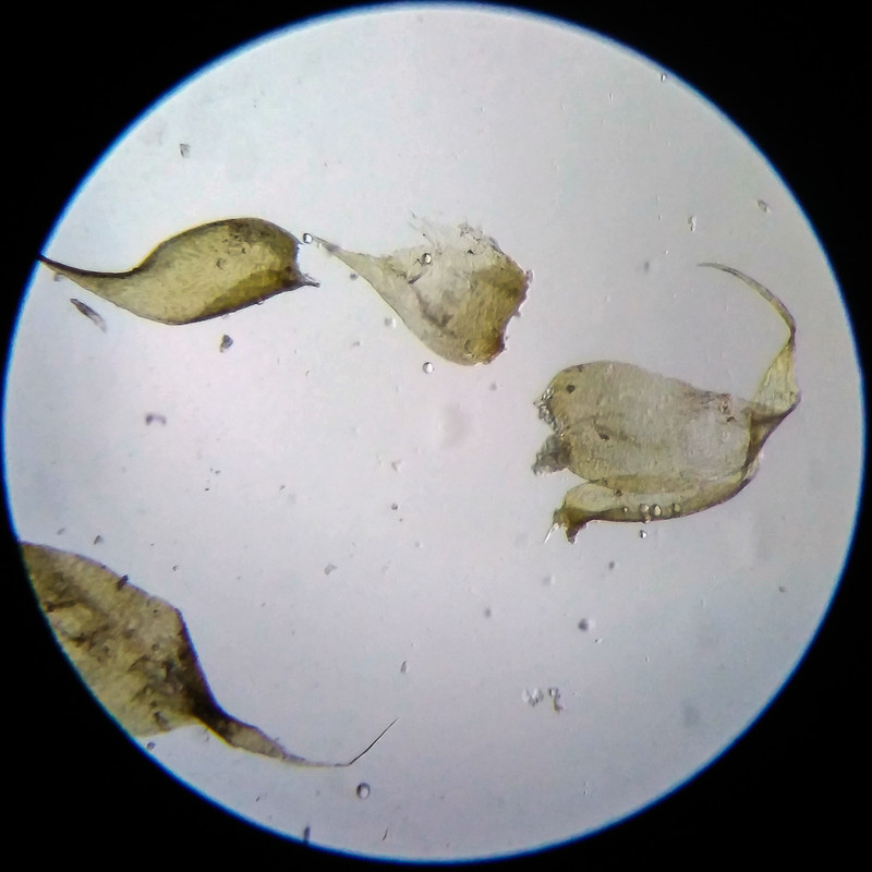 IMG 20250614 210038 HDR