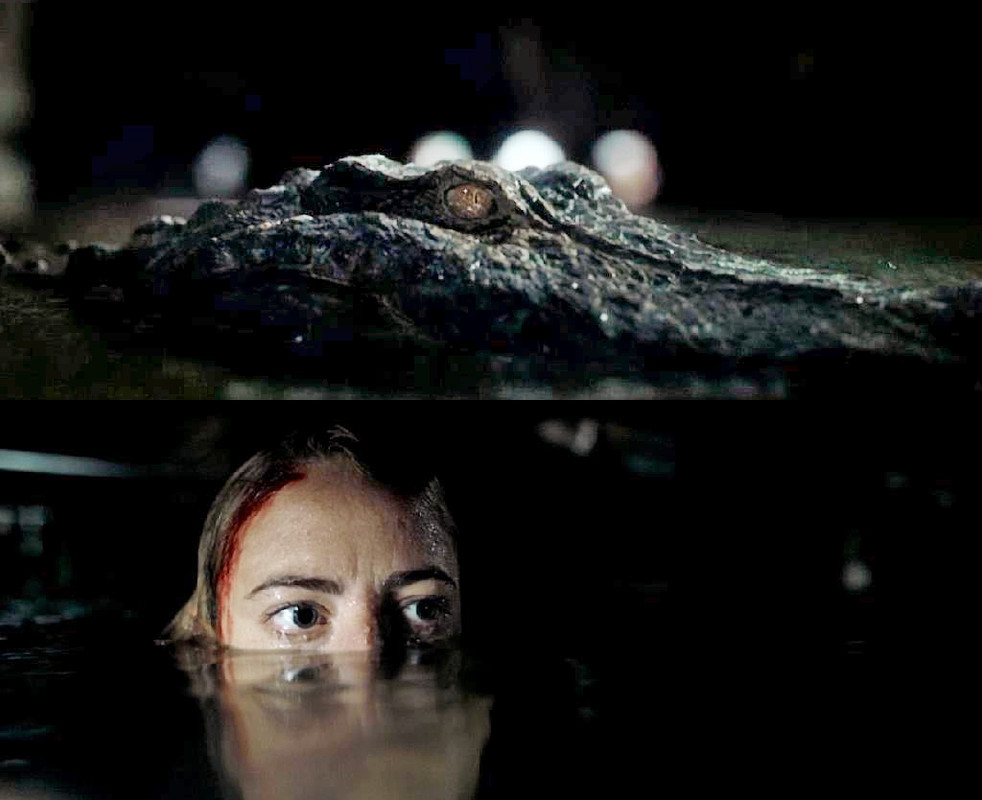 CRAWL 01 - Infierno bajo el agua (Crawl) [2019] [Terror] [DVD5] [PAL] [Leng. ESP/ITA/FRA/ENG] [Subt. Multi]