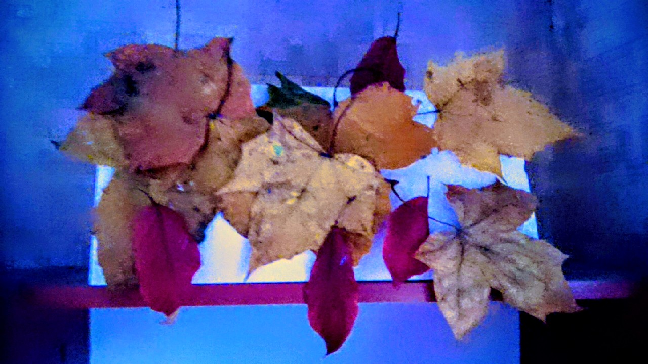 2025 11 08 07 39 49 2