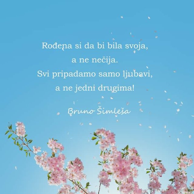 FB_IMG_1684911236823