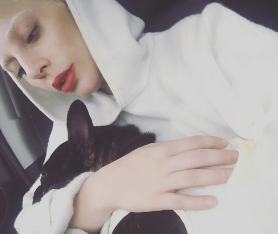 12-26-15-Instagram-001.webp