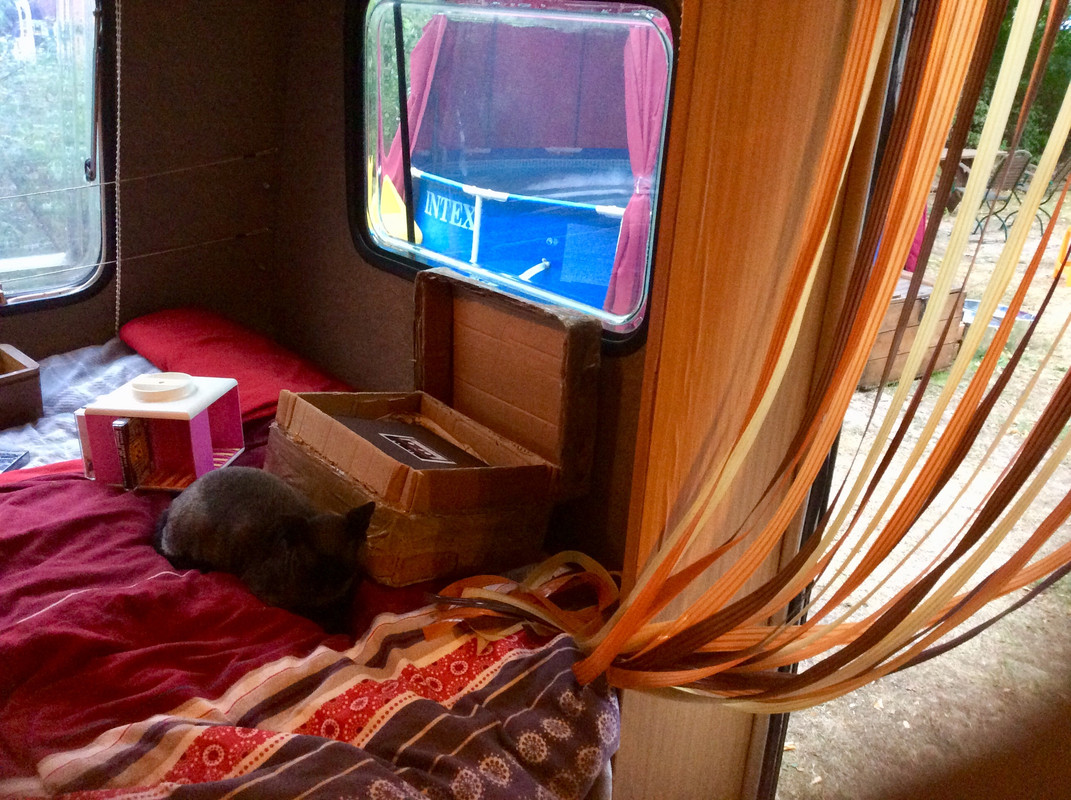 C9D92A40-B1E7-46C6-95AA-13F76D3F47C1