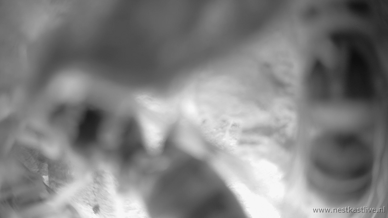 snapshot 2025 11 15T215413 924