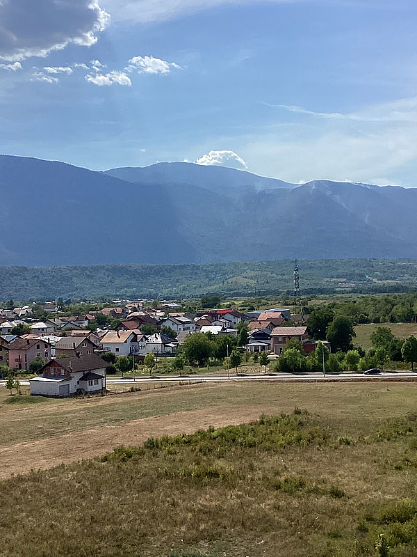 zarizsta (1)