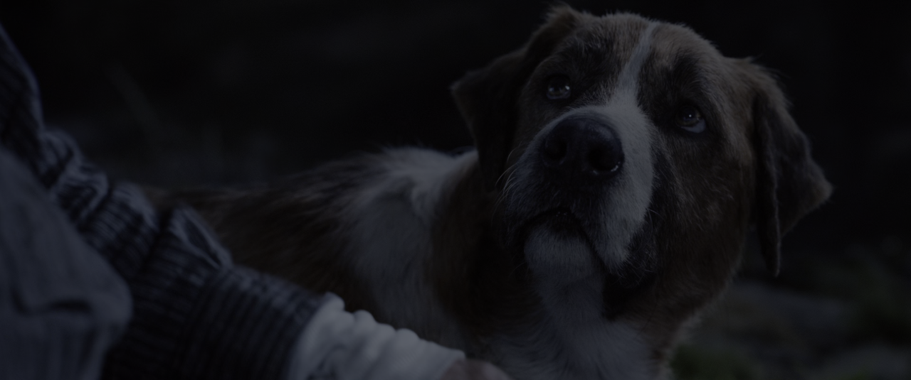 Il richiamo della foresta (2020) [BluRay Rip 2160p HEVC 10bit-HDR ITA-ENG AC3-SUBS] [M@HD].mkv_snaps