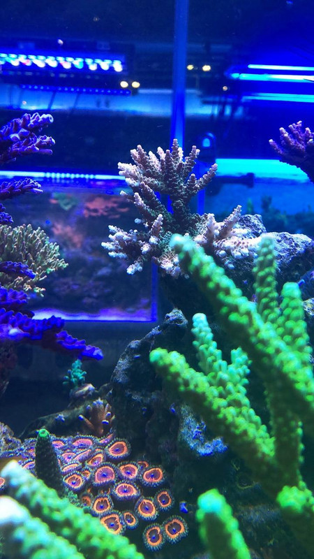 9A6BA9EB-1E40-4998-A86A-AE9526B54EB7