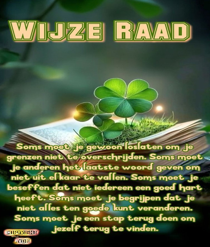 Wijze-raad