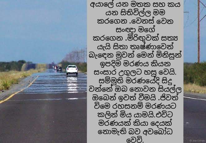 FB-IMG-1716064848793.jpg