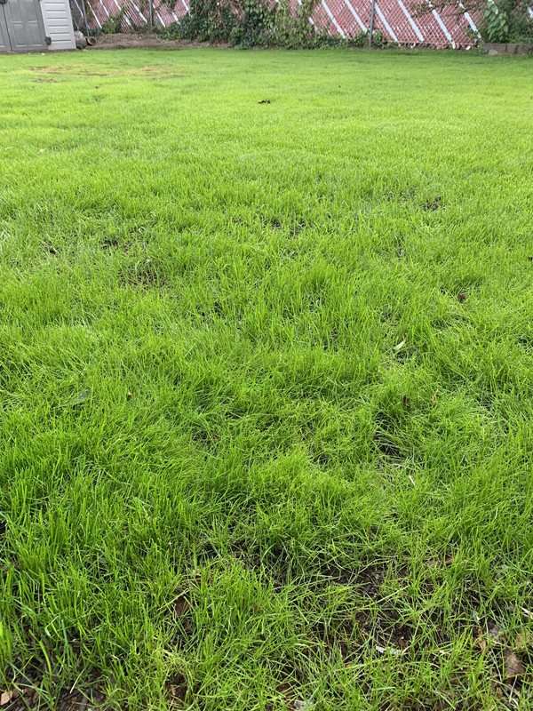 EF83BB4C-6DA7-41C3-B463-5416C4B081E8