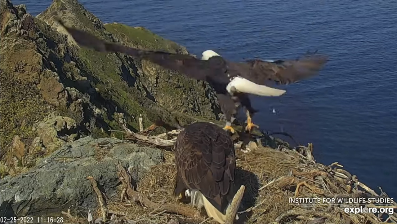 35720A23-19CB-4727-9CEF-8B92087F59B8