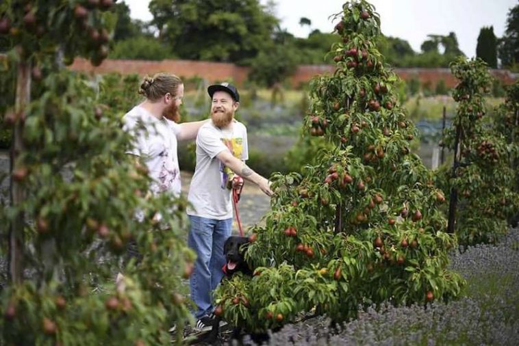 Вот что бывает, когда невеста не приходит на предсвадебную фотосессию