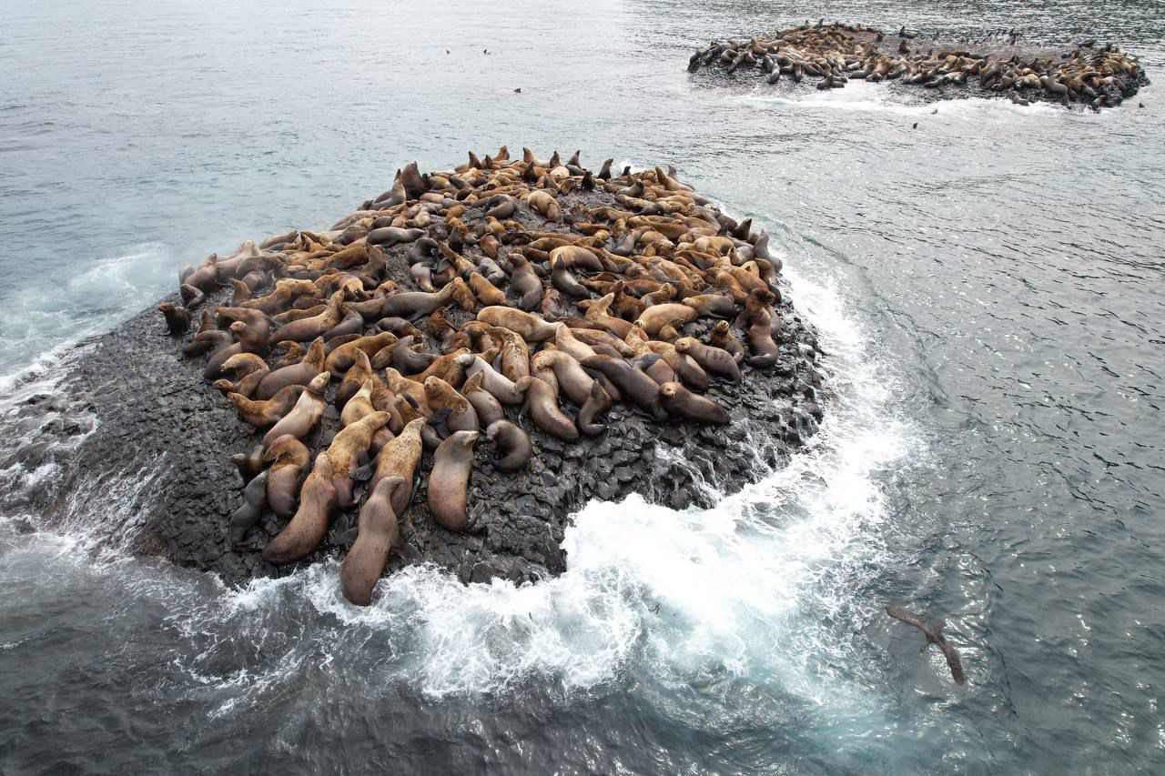 Зима на Сахалине