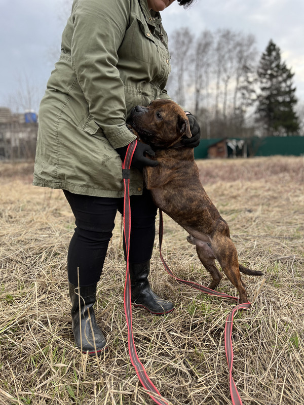 image-09-04-23-05-26-6 (1)