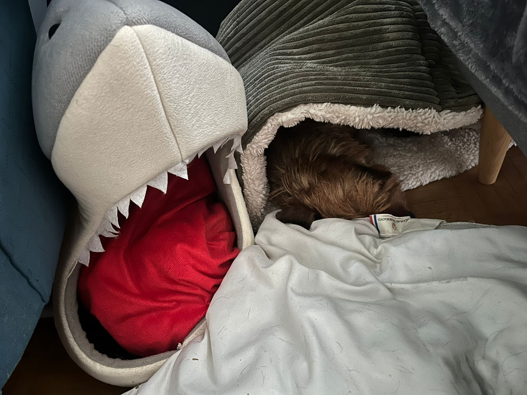 [Image: IMG-20250605-WA0017.jpg]