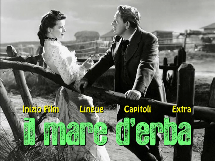 vlcsnap-2020-02-02-18h08m18s844