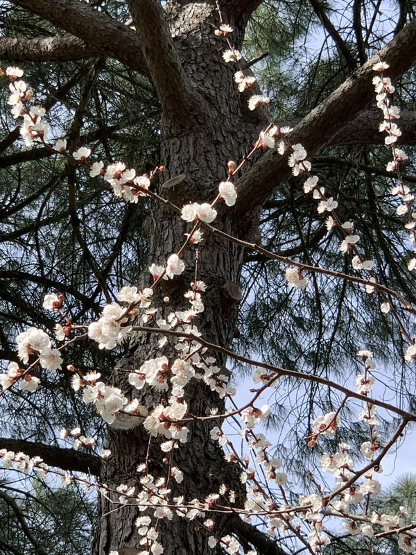 C252C029-ABDC-4862-AF98-DE6EC7DBE8EA