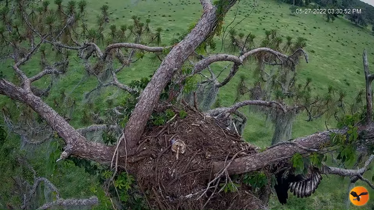 EC 4K Overhead Cam 2-14-2 screenshot