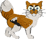 HawksMain