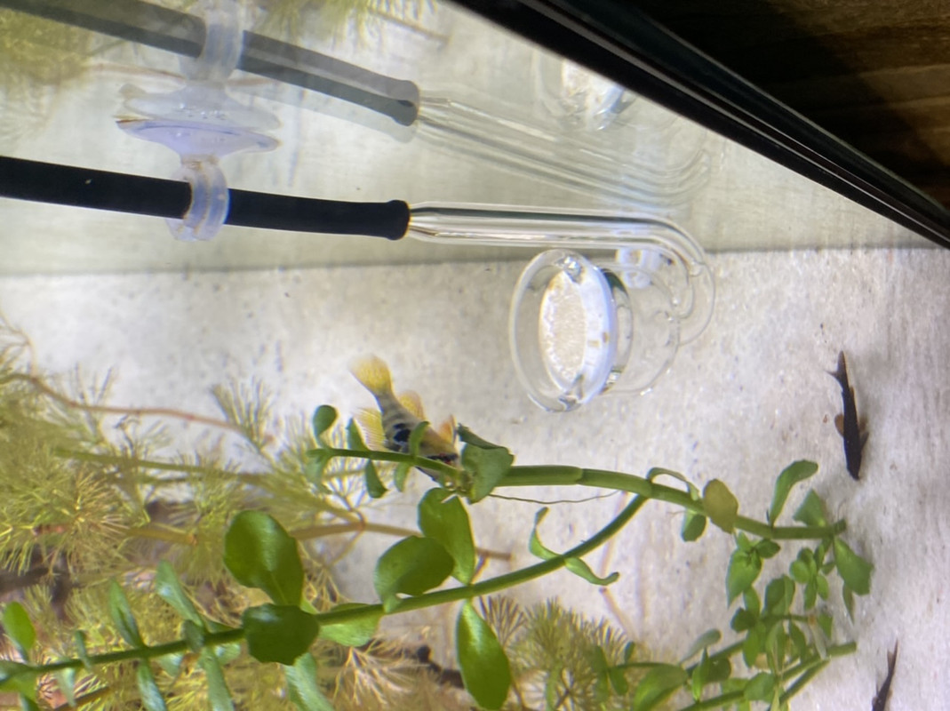 C93C80B0-3BB1-4902-B63A-1BB81E85C8B5