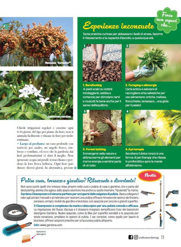 Pol Ver Mag 2024 (4)