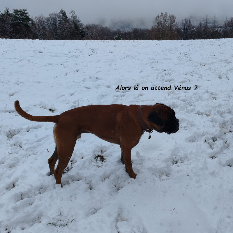 IMG-20260314-150429bb