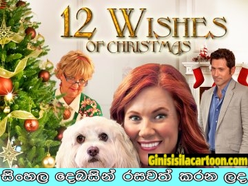 Sinhala Dubbed - 12 Wishes of Christmas (2011)