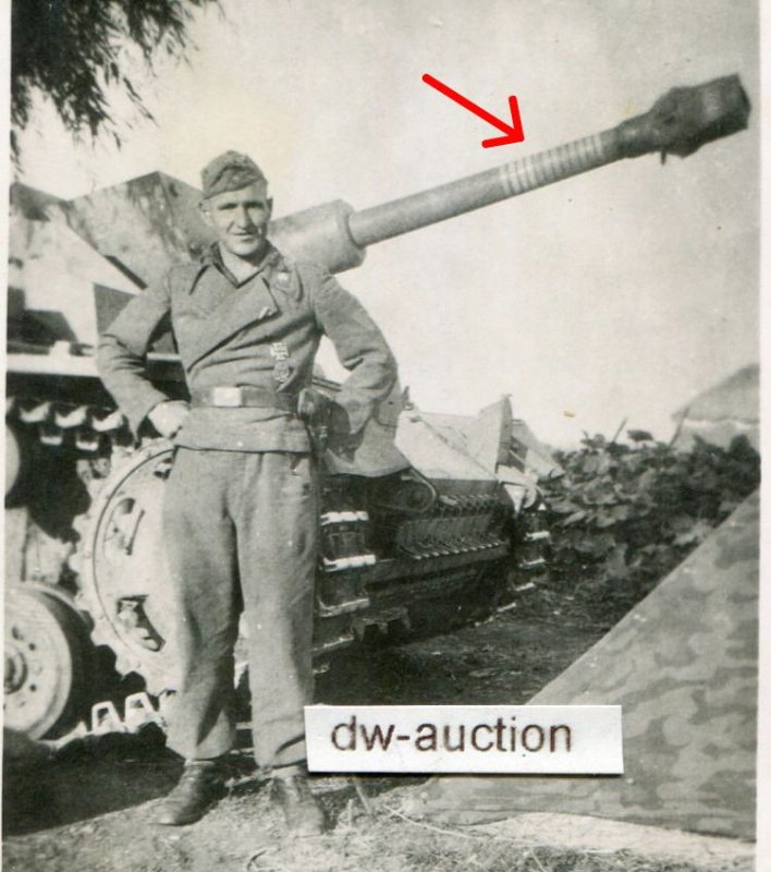 Sturmgeschütz Abt. 242 , Sturmgeschütz mit 12 Ab