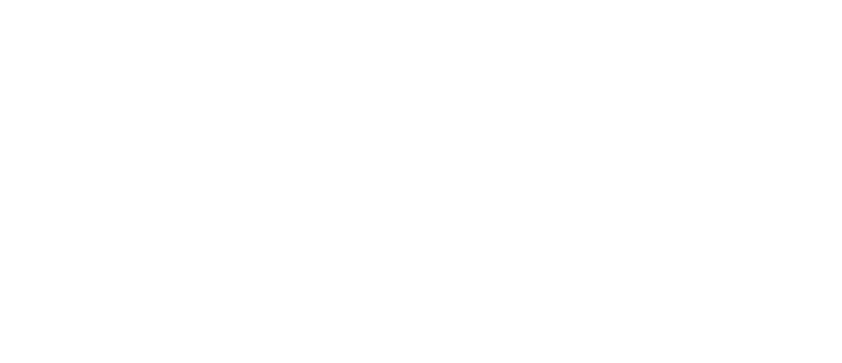 Lashes Co.