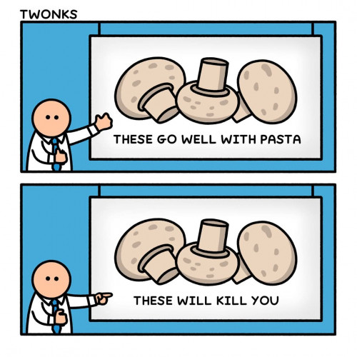 thumbs-picdump912-044.jpg