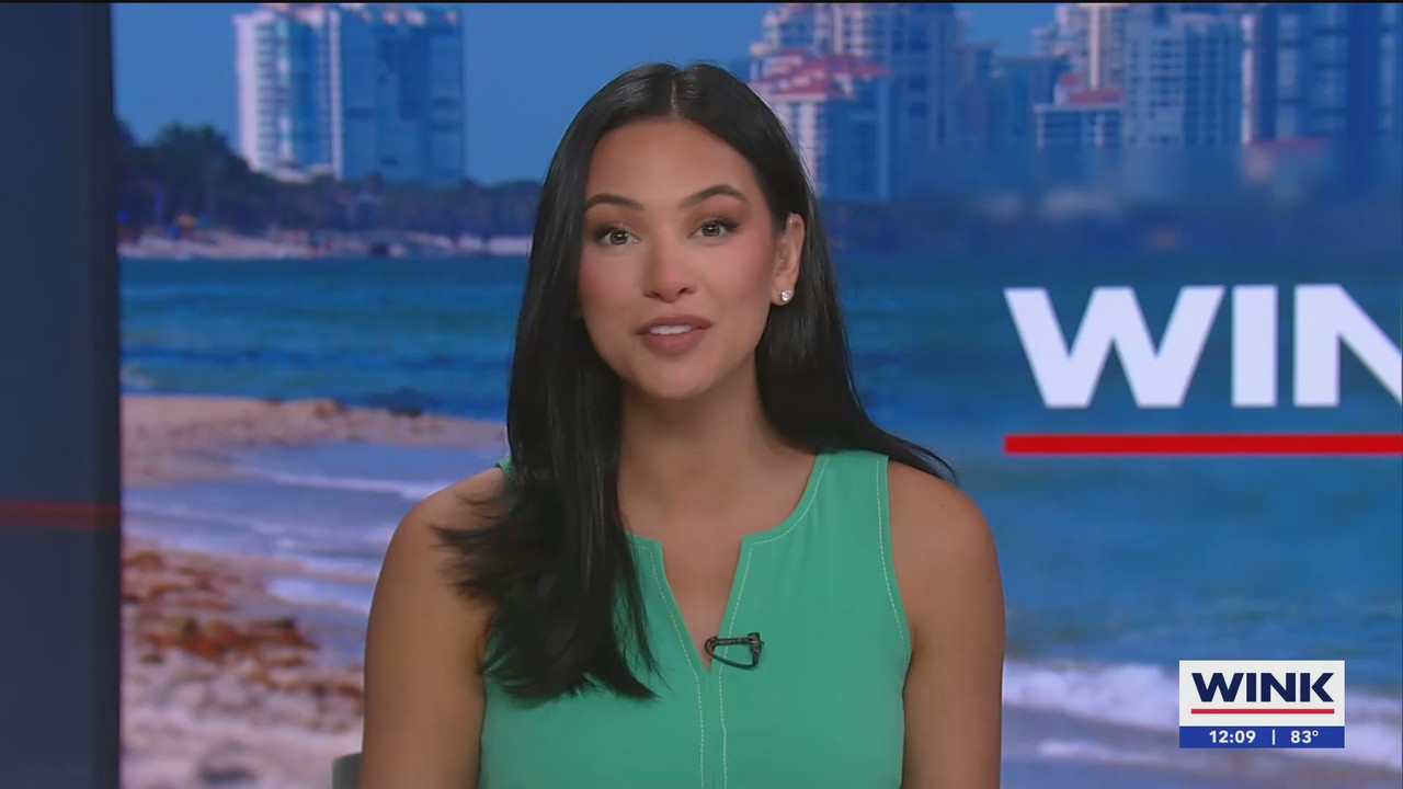 07.02 - 17.00.00 - The WINK Noon News  ᴺᵉʷ. Midday news update..ts_snapshot_10.17.952