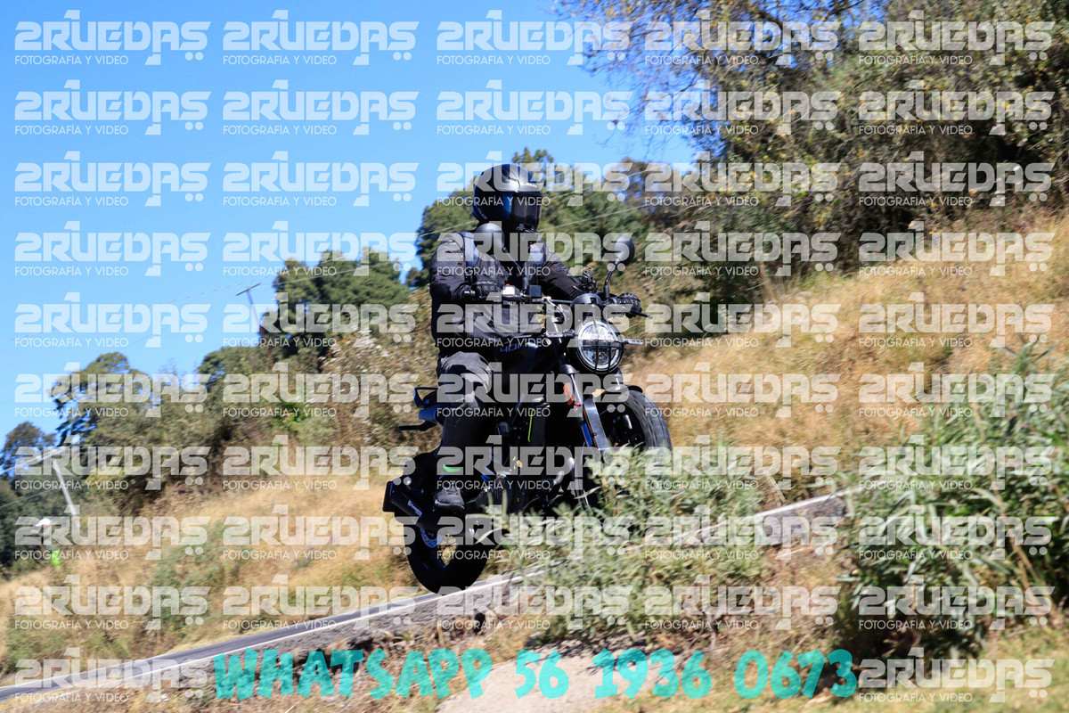 MG 0237 — Postimages
