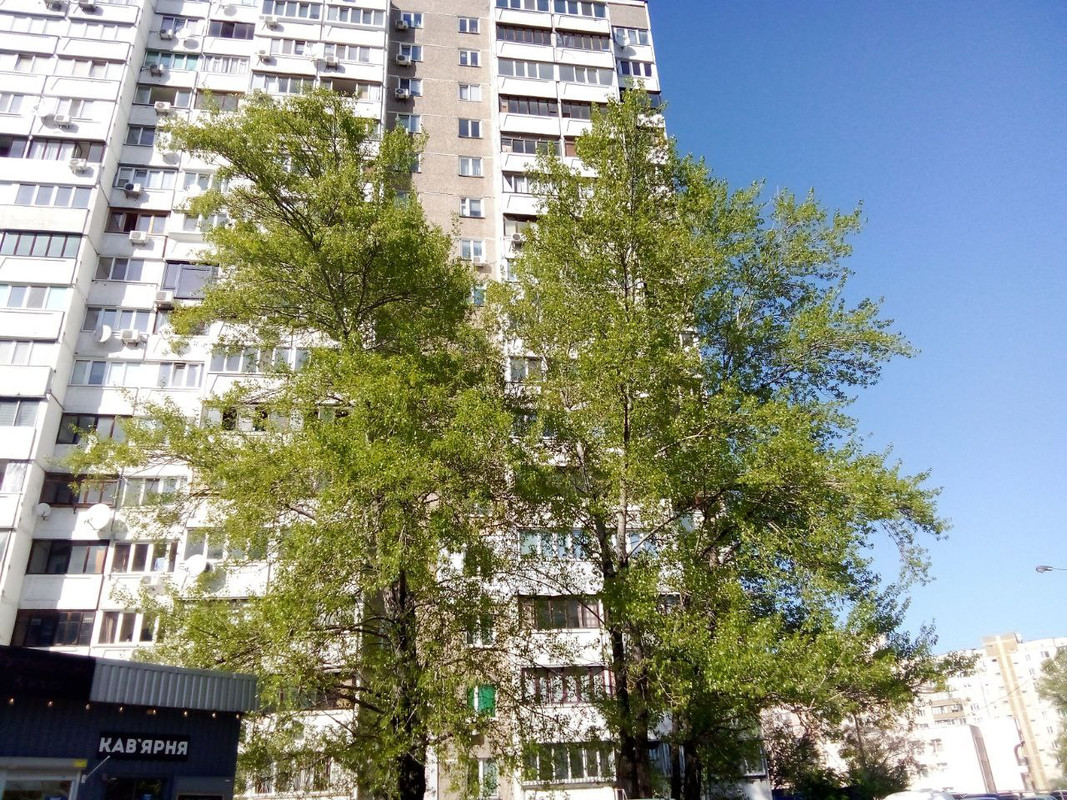 photo_2025-04-22 9.55.56 пп