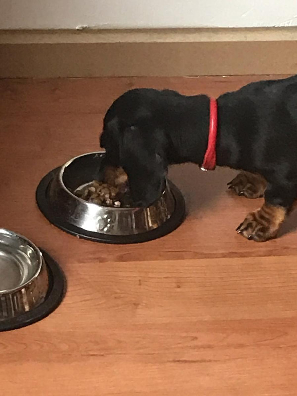 [Image: IMG-3442.jpg]