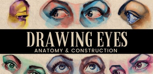 Drawing Realistic Eyes at Any Angle – Anatomy to Improve Your Art
