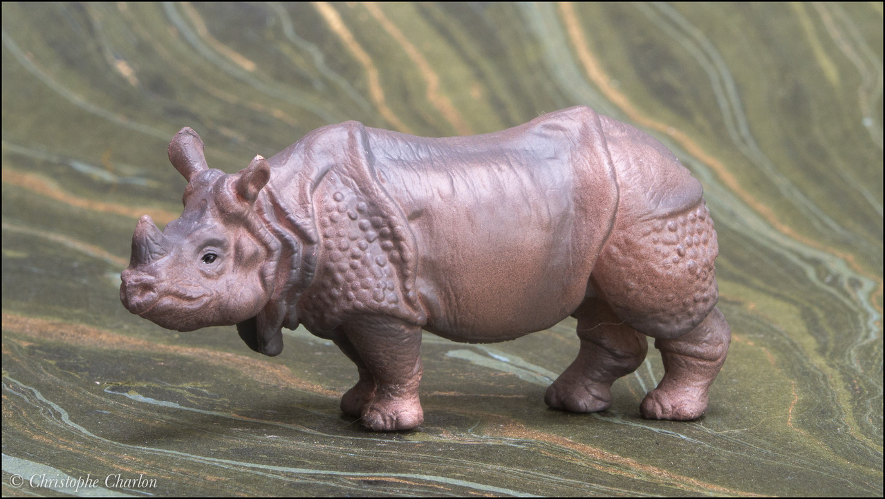 The Eikoh Indian rhinoceros, a walkaround by Kikimalou Eikoh-78825-Indian-rhinoceros-1