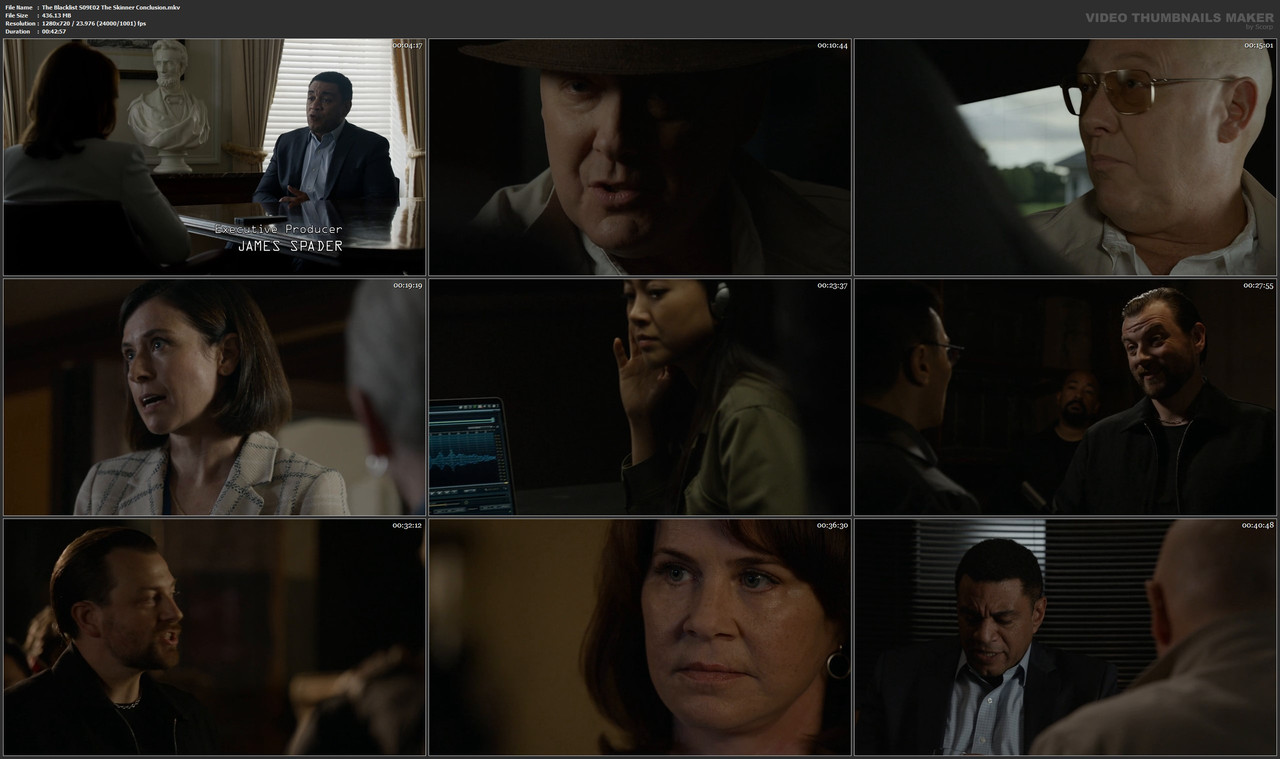 The Blacklist S09E02 The Skinner Conclusion.mkv