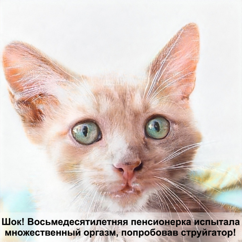 ушные клещи у кошек лечение