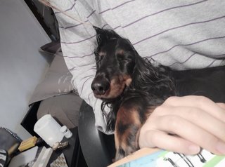 [Image: IMG-20191217-095135.jpg]