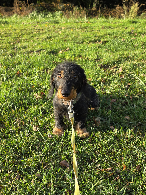 [Image: IMG-20251111-WA0023.jpg]