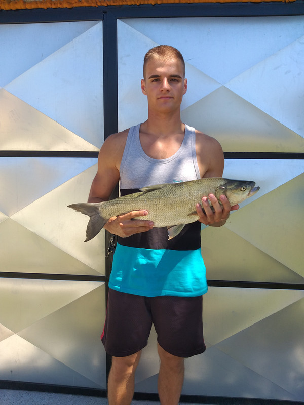 Bucov-55,5 cm i 2670 g (4)