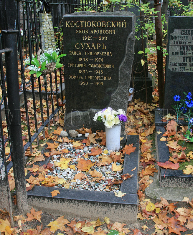kostyukovsky-ya