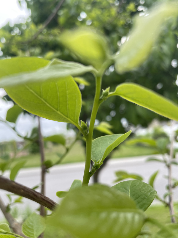 ACFDEFC7-C563-44CC-87D7-DF502F0482F9