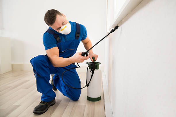 Pest-Control-1.jpg
